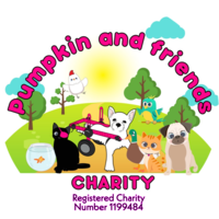 Pumpkin and Friends Charity