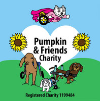 Pumpkin and Friends Charity
