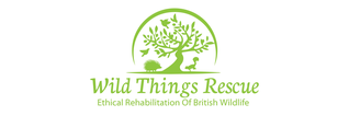 Wild Things Rescue