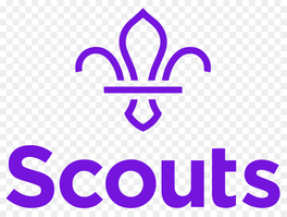 28th Lincoln Scouts