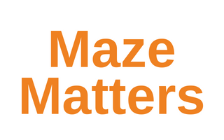 Maze Matters - Sincil Bank Lincoln Community Group